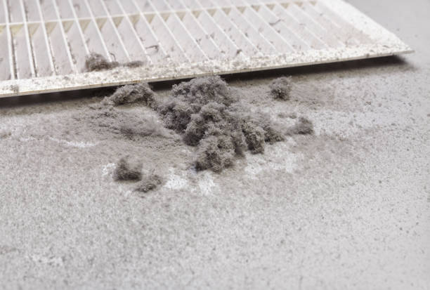 Best Dryer Vent Cleaning Services  in Palmer, AK
