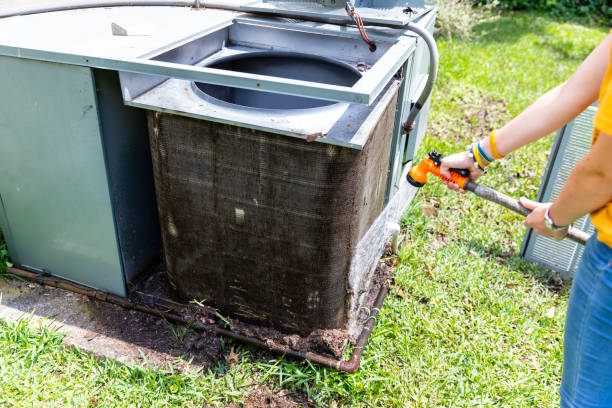 Best HVAC System Cleaning  in Palmer, AK