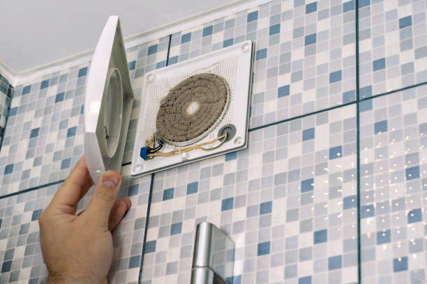 Best Air Duct Mold Removal  in Palmer, AK