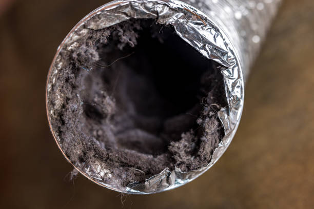 Best Duct Cleaning for Homes  in Palmer, AK