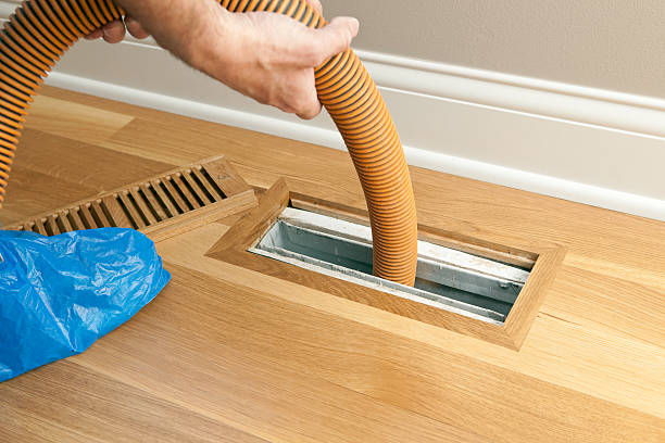Best Duct Cleaning for Homes  in Palmer, AK