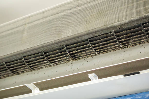 Best Affordable Duct Cleaning Services  in Palmer, AK