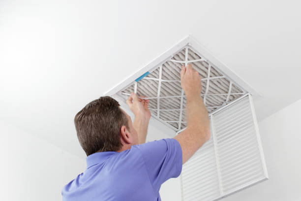 Best Affordable Air Duct Cleaning  in Palmer, AK